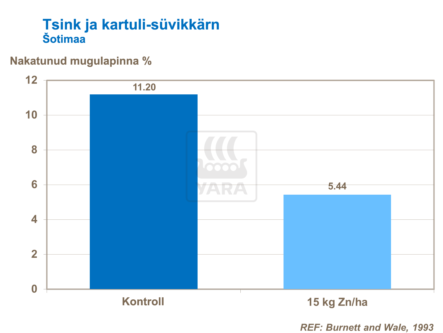 Kartulikoore välimuse parandamine