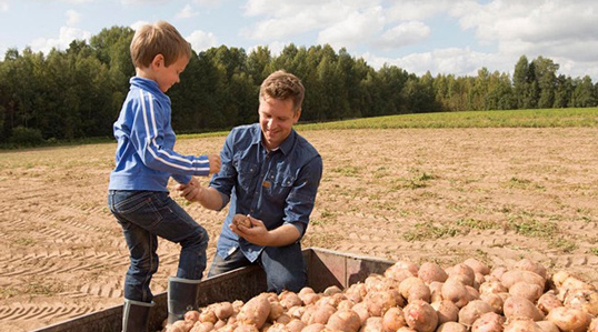 Kartulisaagi kvaliteet