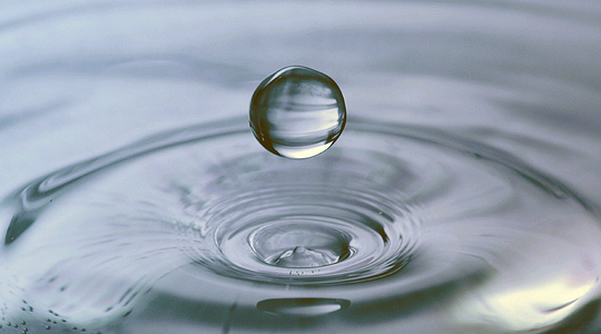 Vee efektiivsem kasutamine taimekasvatuses