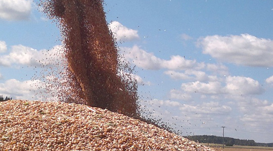 Nisu tootmine maailmas