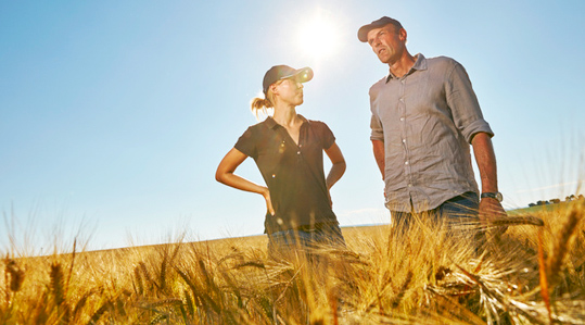 Oder - agronoomilised põhitõed