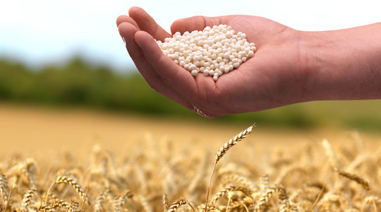 Nisu väetamisprogrammid