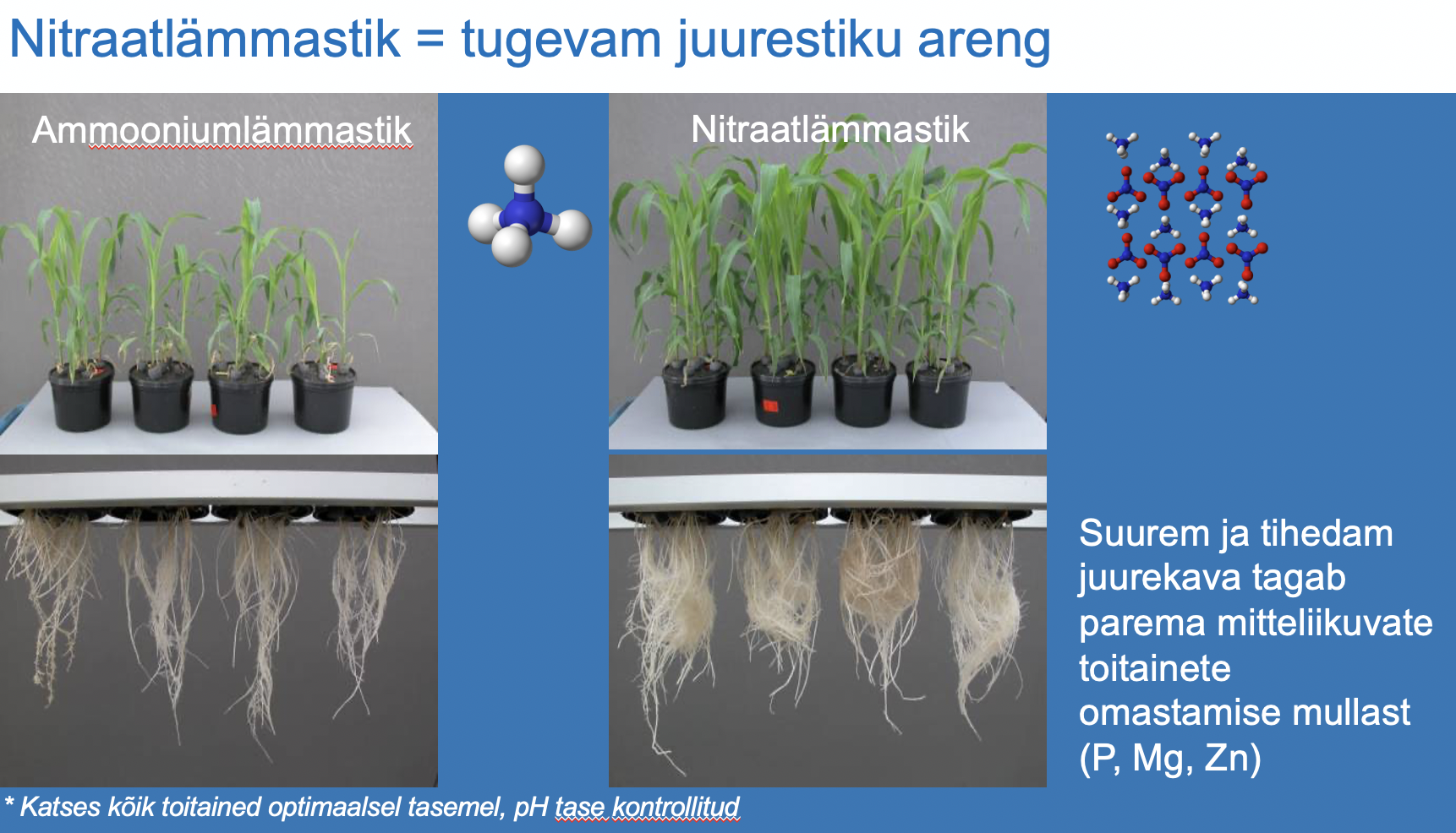 Water use efficiency