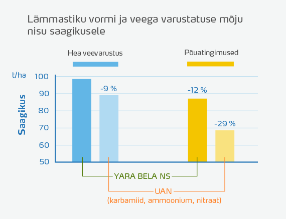 Effect of N form and water supply on wheat yield
