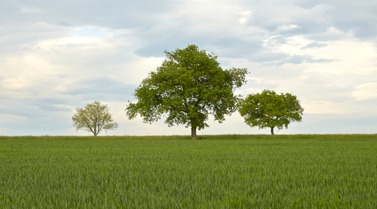 Taimekasvatuse süsiniku jalajälje vähendamine