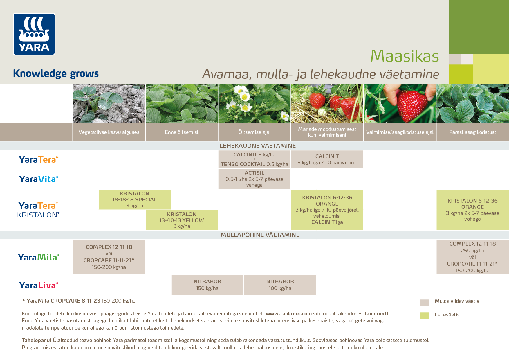 Maasika v&auml;etamisprogramm