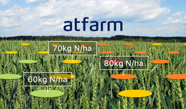 Atfarm